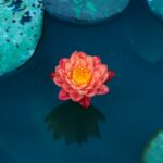 Die Verbindung mit dir selbst - Tagesseminar